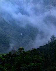 Meghalaya's Monsoon Magic: Living Bridges, Milky Way, Waterfalls, Flora and Fauna