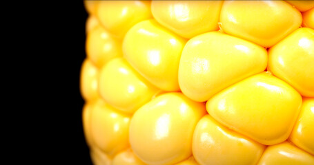 Maize Majesty