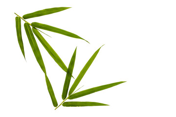 bamboo leaf arrangement flat lay style 