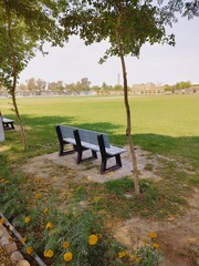 wooden bench in sunny spring park, beautiful urban summer park in sunlight