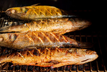 grilled fish on the grill