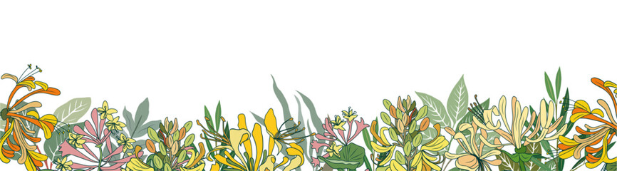 Horizontal banner, border with gorgeous multicolored blooming honeysuckle flowers and eucalyptus leaves. Spring botanical flat vector illustration isolated on transparent background.