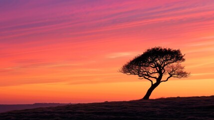 Fototapeta na wymiar A single, windswept tree silhouetted against a vibrant orange and pink sunset. Minimalist composition with clean lines and negative space.