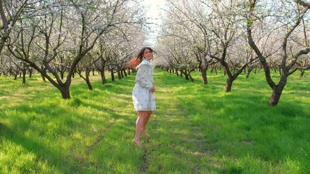 Motion video of young woman in white dress walking in beautiful blossom almond orchard in flowers.