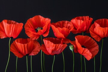 Symbolic red poppies on dark background, a symbol for remembrance day, armistice day, and anzac day - obrazy, fototapety, plakaty