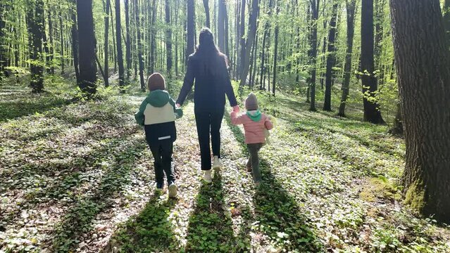 Mother walking in the spring forest with her kids
