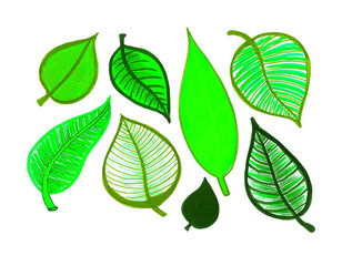 A set of different leaves on a white background. Different shads of green. Light, bright, warm, turquoise. The leaves are different in shape and size. Some have veins in the form of lines. Doodle.