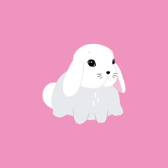 Cute white rabbit in various poses. Rabbit animal icon isolated on background. For Moon Festival, Chinese Lunar Year of the Rabbit, Easter decor. White Easter bunny, hare. Wild animals, baby animals