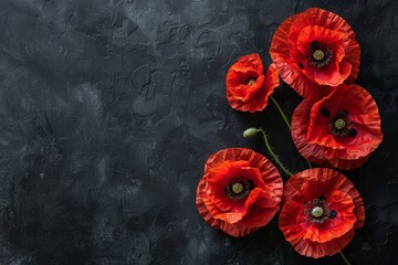 Symbolic red poppies  stylized flowers on black background for remembrance day and anzac day - obrazy, fototapety, plakaty