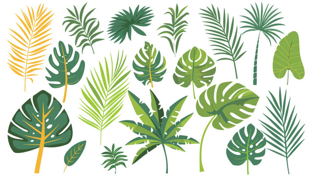 Tropical Plants Palms and Leaves Vector . Pop Art sty