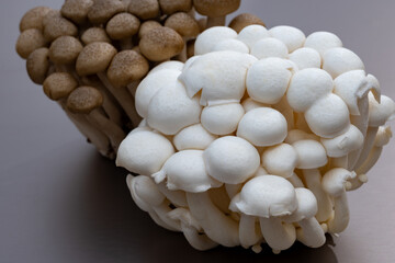 White and brown shimeji edible mushrooms native to East Asia, buna-shimeji is widely cultivated and rich umami tasting compounds