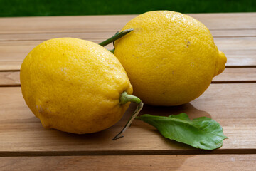 Fresh ripe yellow Italian lemons from Sorrento, new harvest