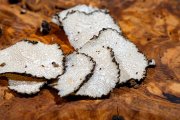 Slices of Italian black summer truffle, tasty aromatic mushroom, close up