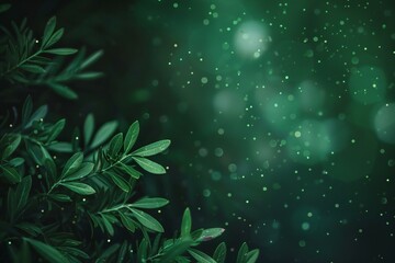 Green leaves with bokeh lights on dark background,  Abstract nature backdrop