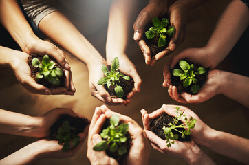 People, nature and plant or grow with hands, earth day with support for environment and natural...