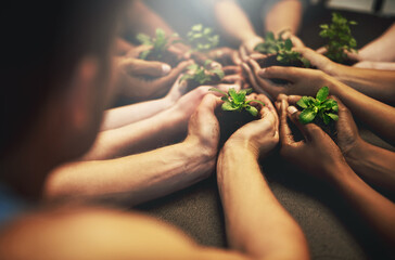 People, natural and plant for growth with hands, earth day with support for environment and nature recourses. Agriculture, eco friendly and green energy for sustainability, collaboration in ecology