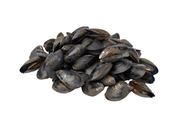 group of mussels
.isolated on white background