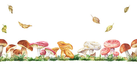 Mushrooms in a grass field watercolour forest illustration 