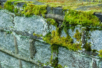 green moss on stone, stone wall