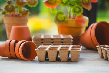 Pots and trays for sowing on the garden table