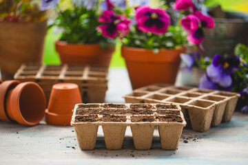 Pots and trays for sowing on the garden table