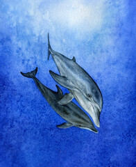 Electric blue dolphins painted in art swim together in the wildlife ocean watercolor illustration