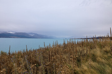 Wunderschöne Landschaft in Neuseeland am Lake Tekapo mit Blick auf die Berge im Hintergrund