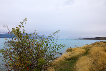 Wunderschöne Landschaft in Neuseeland am Lake Tekapo mit Blick auf die Berge im Hintergrund