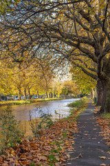 Dublin, Ireland - November 6 2023 'Dublin's streets during the late autumn