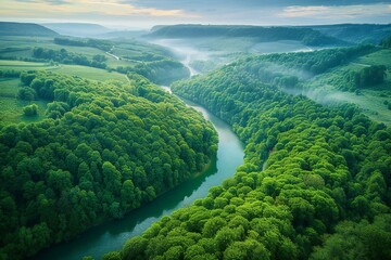 Aerial view of river and forest at sunrise,  Beautiful summer landscape