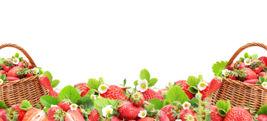 Fresh strawberry isolated