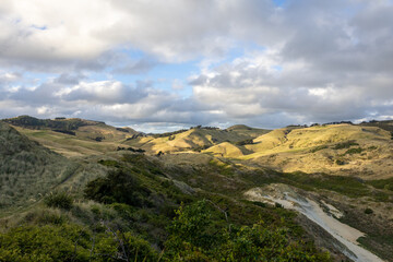 Ausblick auf wunderschöne weite Landschaft mit Wiesen und Feldern in Neuseeland mit Schafen 