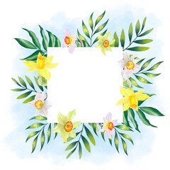 Square frame of daffodils flowers and leaves with blue spots. Hand drawn watercolor botanical illustration. Template for text, design, cards, invitations, congratulations, packaging, printing
