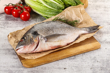 Raw dorada fish served rosemary