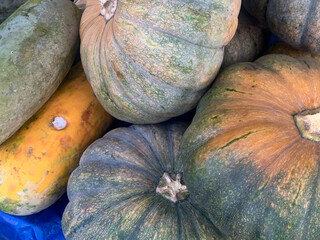 Close-up of a pile of several different gourds and pumpkins. The gourds and pumpkins vary in size,...