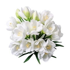 Obraz na płótnie Canvas a bouquet of white flowers