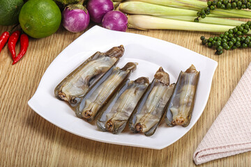 Raw fresh Razor clam mollusk