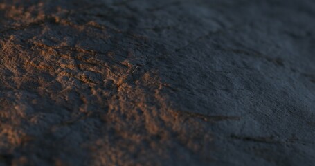 Golden Light on Rough Stone Texture. Close-up, shallow dof.