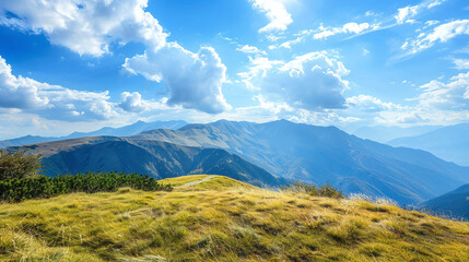 Fototapeta premium View of meadow and mountains