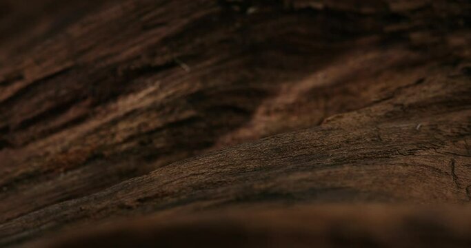Warmly Lit Wooden Grain Texture. Close-up, shallow dof.