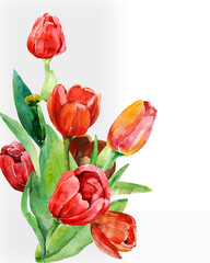 Red tulips pattern. Image on a white and colored background. - 786018469
