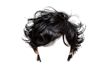 Stylish hair wig with trendy design isolated on background, front view, fashionable hairstyle concept.