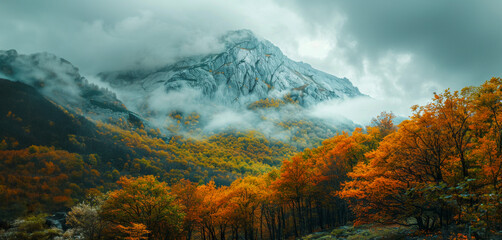 A mountain range covered in trees and snow - obrazy, fototapety, plakaty