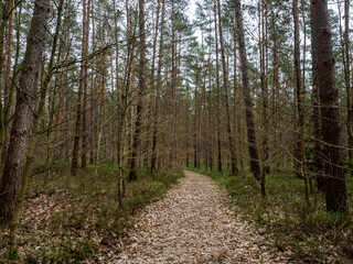 Fototapeta premium Landschaft