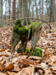Obraz premium Landschaft