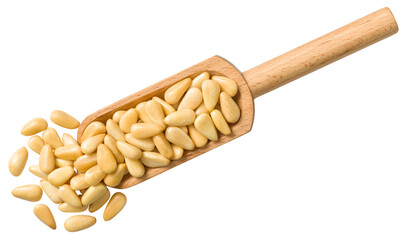 Roasted pine nuts in the wooden scoop, isolated on the white background, top view.
