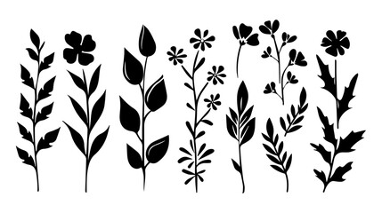 Set of black silhouettes of leaves and flowers. Vector illustration.	
