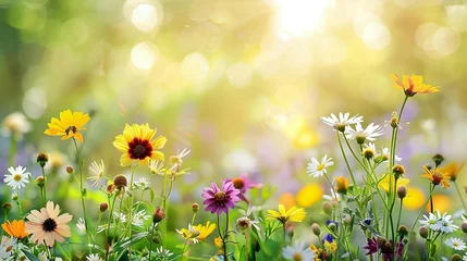 Zelfklevend Fotobehang Nature background with wild flowers © 상서 김