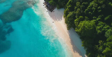Tropical Beach Aerial View with Lush Foliage
