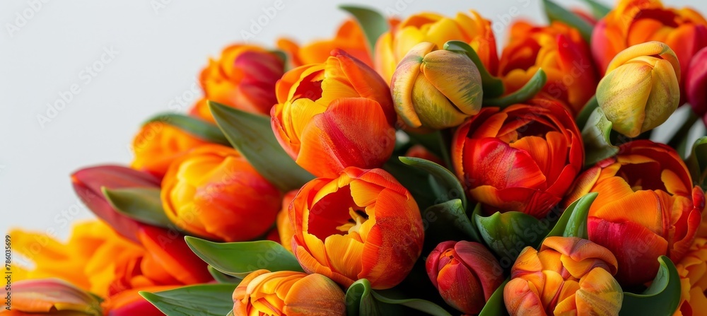 Poster minimalist spring bouquet wallpaper on soft white backdrop with ample space for text placement